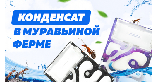 Почему появляется конденсат в муравьиной ферме и как его убрать