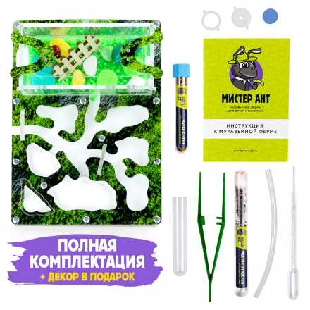 Муравьиная ферма Мини "Горный мох" (ПОЛНЫЙ КОМПЛЕКТ)