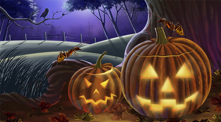 Helloween: страшные скидки в интернет-магазине "Мистер Ант"